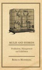 Mules and Hybrids - Production, Management, & Exhibition