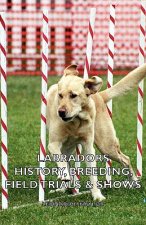 Labradors - History, Breeding, Field Trials & Shows