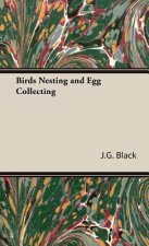 Birds Nesting and Egg Collecting