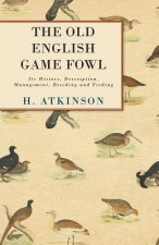 Old English Game Fowl - Its History, Description, Management, Breeding And Feeding