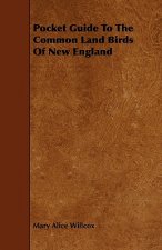 Pocket Guide To The Common Land Birds Of New England