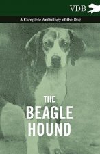 Beagle Hound - A Complete Anthology of the Dog -