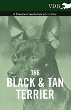 Black And Tan Terrier - A Complete Anthology of the Dog -