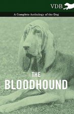 Bloodhound - A Complete Anthology of the Dog -