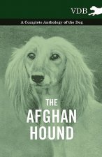 Afghan Hound - A Complete Anthology of the Dog -