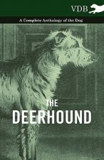 Deerhound - A Complete Anthology of the Dog -