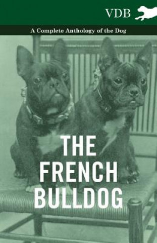 French BullDog A Complete Anthology of the Dog