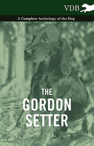 Gordon Setter - A Complete Anthology of the Dog
