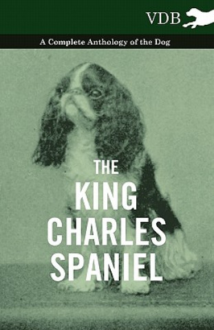 King Charles Spaniel - A Complete Anthology of the Dog