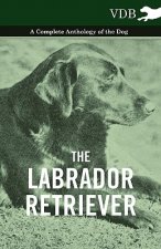 Labrador Retriever - A Complete Anthology of the Dog