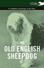 Old English SheepDog A Complete Anthology of the Dog