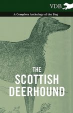 Scottish Deerhound - A Complete Anthology of the Dog