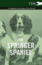 Springer Spaniel - A Complete Anthology of the Breed