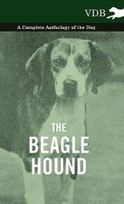 Beagle Hound - A Complete Anthology of the Dog -