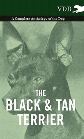 Black And Tan Terrier - A Complete Anthology of the Dog -