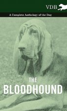 Bloodhound - A Complete Anthology of the Dog -