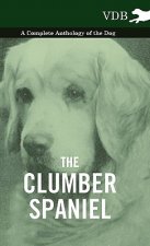 Clumber Spaniel - A Complete Anthology of the Dog -