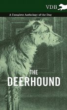 Deerhound - A Complete Anthology of the Dog -