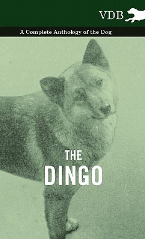 Dingo - A Complete Anthology of the Dog -