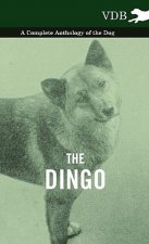 Dingo - A Complete Anthology of the Dog -