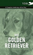 Golden Retriever - A Complete Anthology of the Dog
