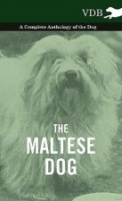 Maltese Dog A Complete Anthology of the Dog