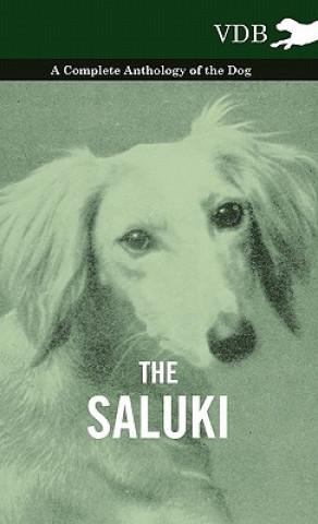 Saluki - A Complete Anthology of the Dog