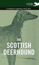 Scottish Deerhound - A Complete Anthology of the Dog