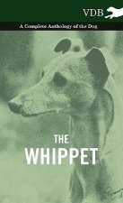 Whippet - A Complete Anthology of the Dog