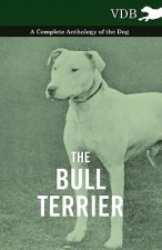 Bull Terrier - A Complete Anthology of the Dog -