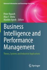 Business Intelligence and Performance Management
