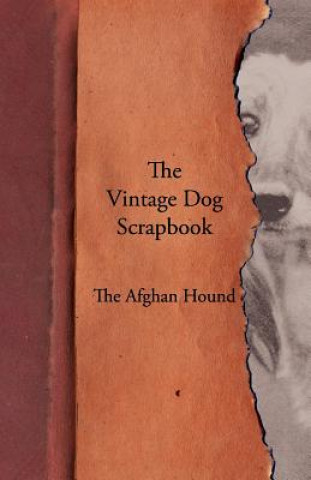 Vintage Dog Scrapbook - The Afghan Hound