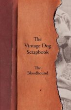 Vintage Dog Scrapbook - The Bloodhound