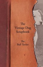 Vintage Dog Scrapbook - The Bull Terrier