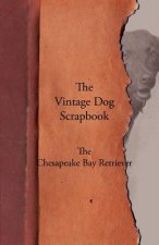 Vintage Dog Scrapbook - The Chesapeake Bay Retriever