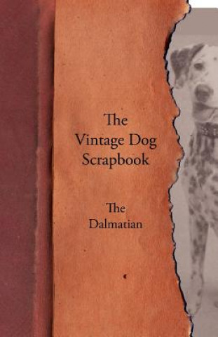 Vintage Dog Scrapbook - The Dalmatian