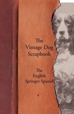 Vintage Dog Scrapbook - The English Springer Spaniel