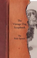 Vintage Dog Scrapbook - The Field Spaniel