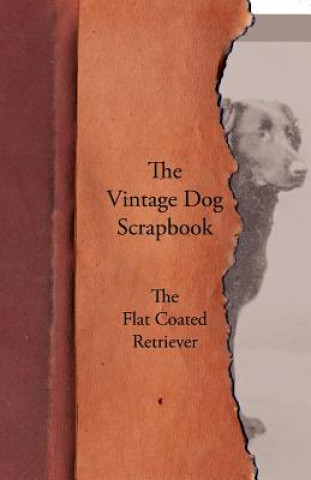 Vintage Dog Scrapbook - The Flat Coated Retriever