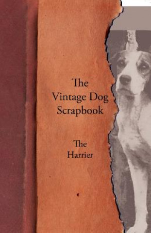 Vintage Dog Scrapbook - The Harrier