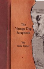 Vintage Dog Scrapbook - The Irish Terrier
