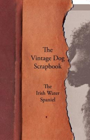 Vintage Dog Scrapbook - The Irish Water Spaniel