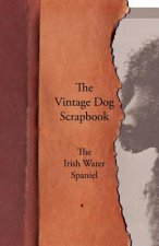 Vintage Dog Scrapbook - The Irish Water Spaniel