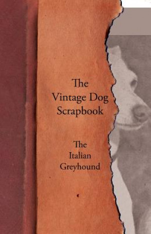 Vintage Dog Scrapbook - The Italian Greyhound