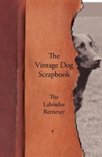 Vintage Dog Scrapbook - The Labrador Retriever
