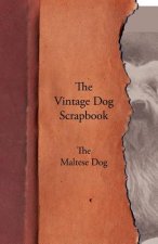 Vintage Dog Scrapbook - The Maltese