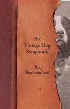Vintage Dog Scrapbook - The Newfoundland