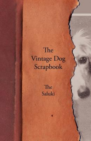 Vintage Dog Scrapbook - The Saluki