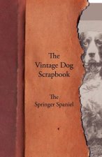 Vintage Dog Scrapbook - The Springer Spaniel