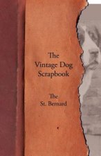 Vintage Dog Scrapbook - The St. Bernard